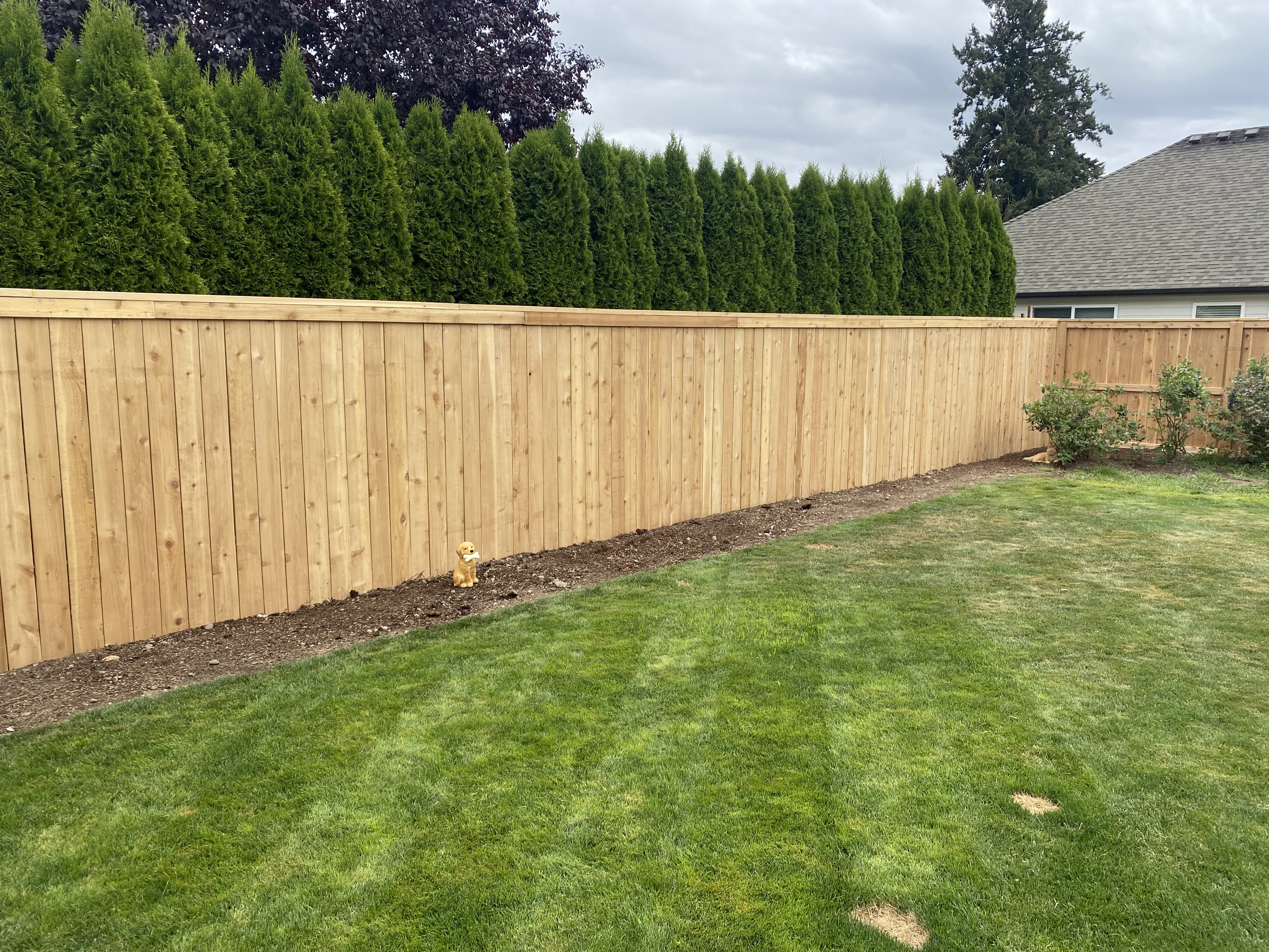 Fence project 2